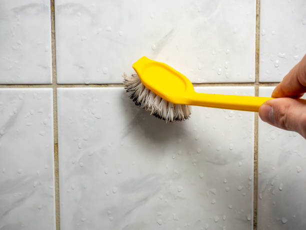 Attic Mold Removal in Los Fresnos, TX