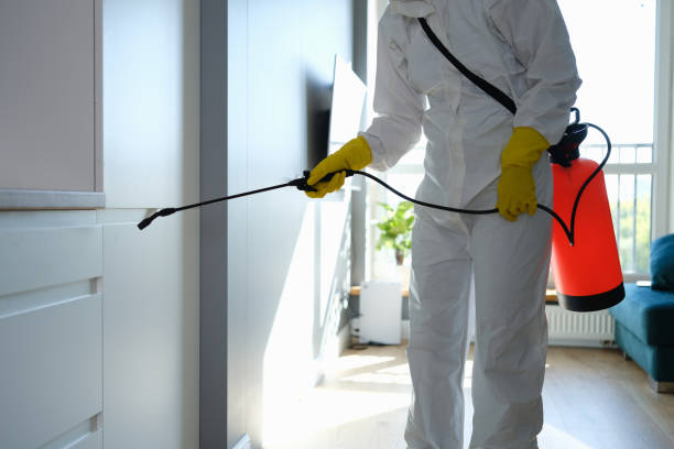 Best Residential Mold Removal  in Los Fresnos, TX