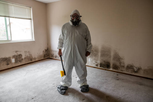 Best Commercial Mold Removal  in Los Fresnos, TX